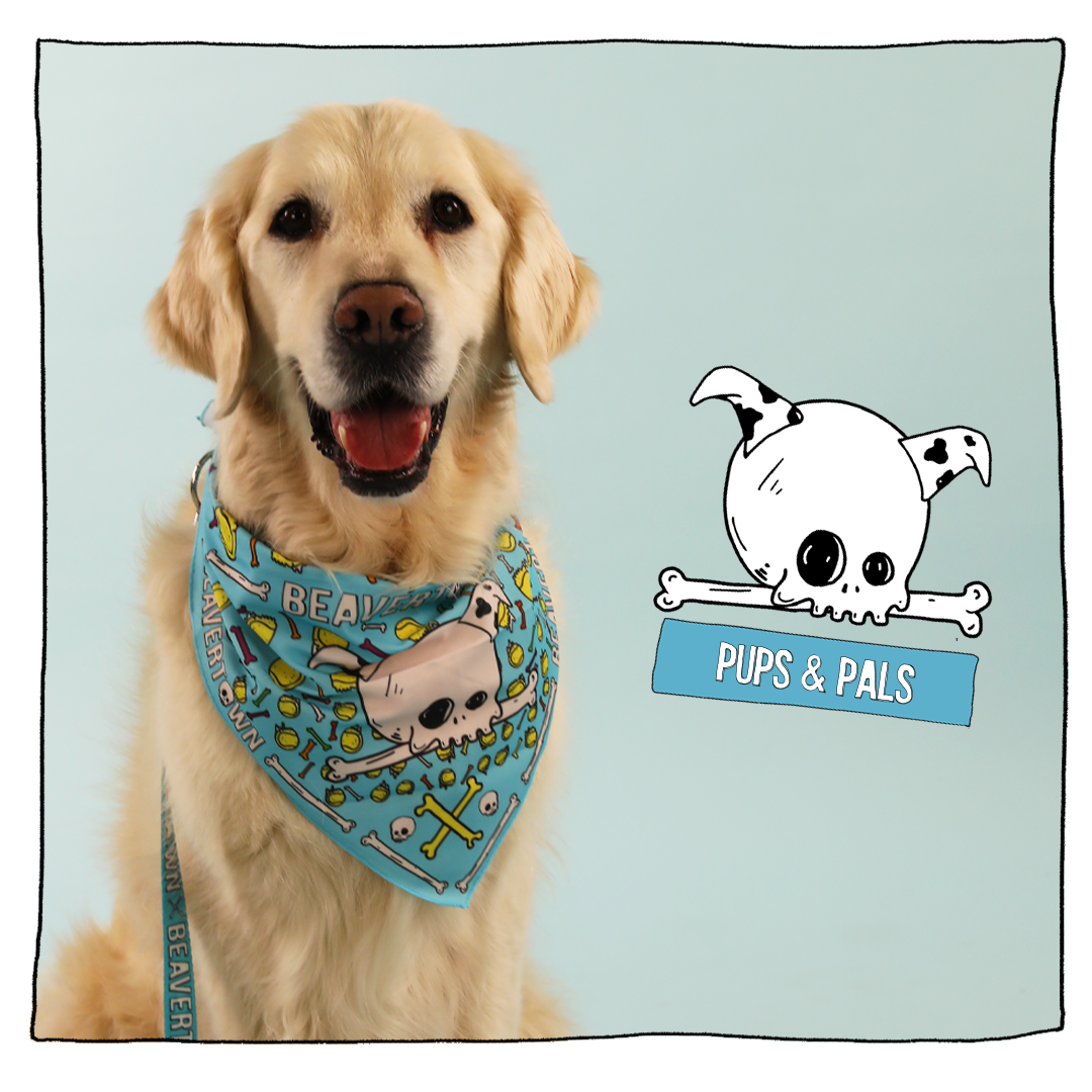 Fall dog outlet bandana