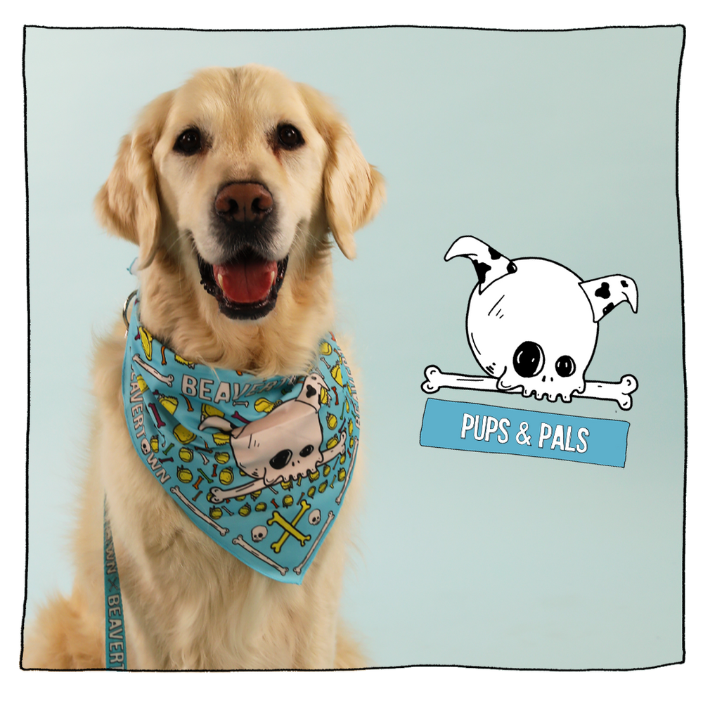 Beer dog shop bandana