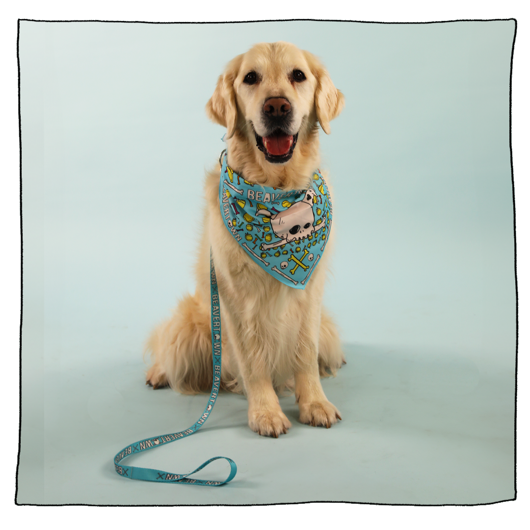 Dog Lead