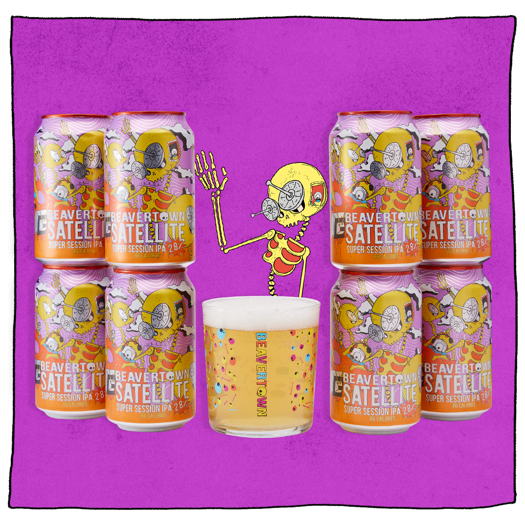 Satellite Craft Beer Bundle